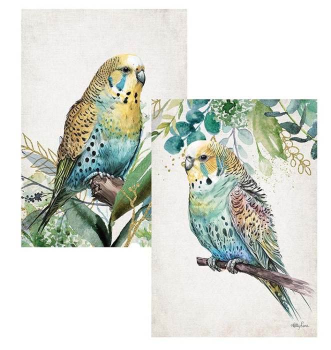Tea Towel - Budgie (Asst)
