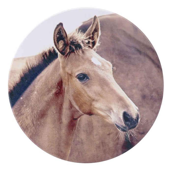 Rustic Meadow Foal Ceramic Coaster