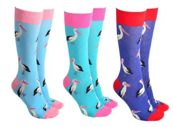 Sock Society - Pelicans