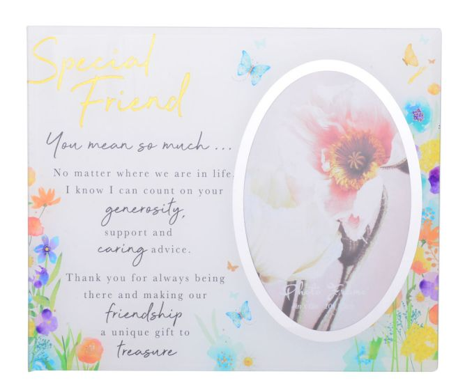 Embrace Special Friend Mirror Frame