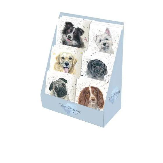 Bree Merryn Mini Greeting Card - Asst