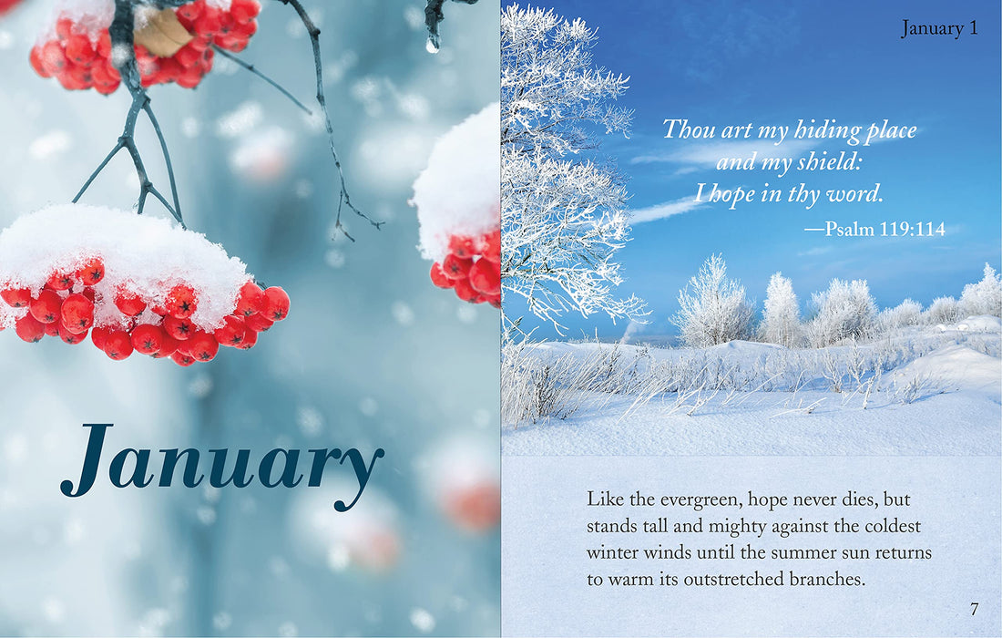 Daily Words of Comfort - Large Print