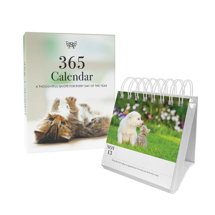 Kitten Perpetual Desk Calendar