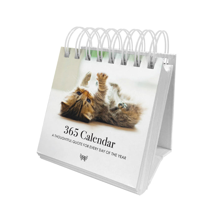 Kitten Perpetual Desk Calendar