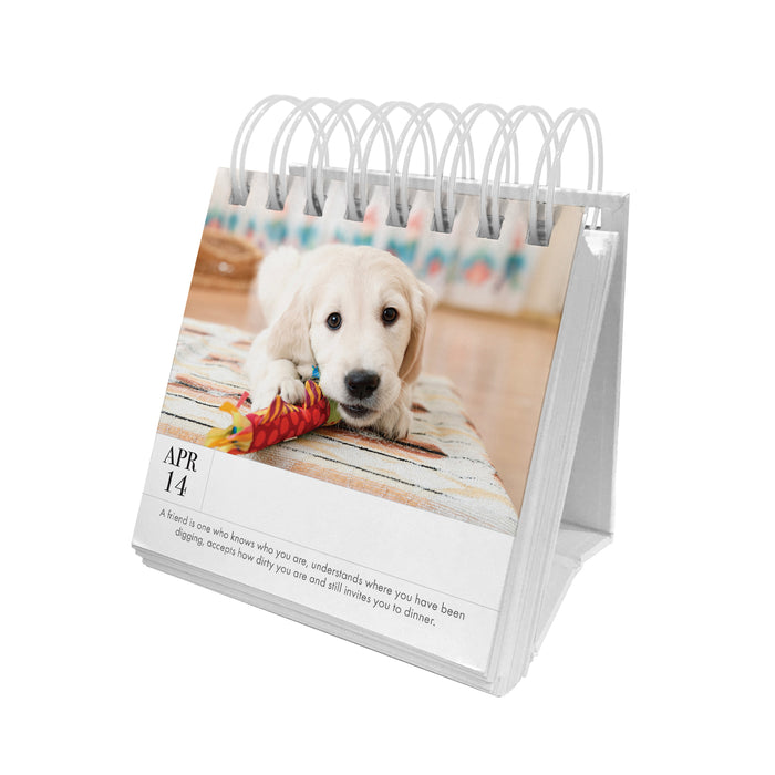 Kitten Perpetual Desk Calendar