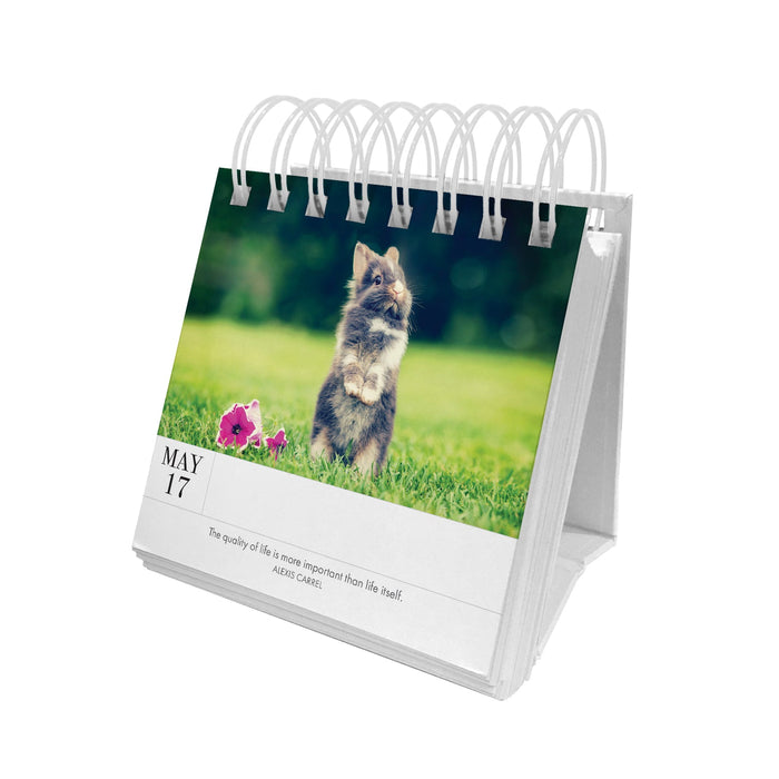 Puppy Perpetual Desk Calendar