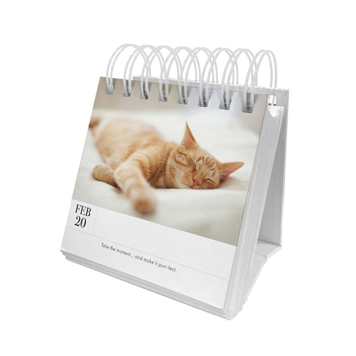 Kitten Perpetual Desk Calendar