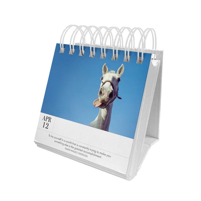 Puppy Perpetual Desk Calendar