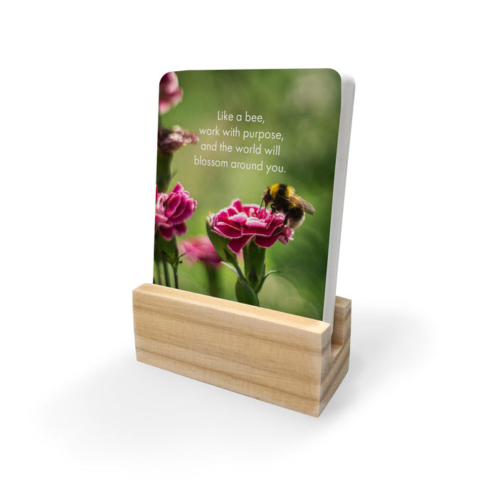 Bee You - 24 Animal Affirmation Cards