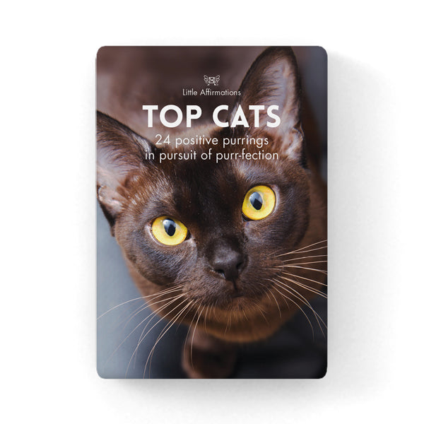 Top Cats - 24 Animal Affirmation Cards