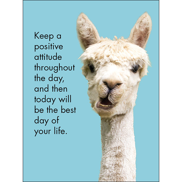 Llama Nirvana - 24 Good-Morning Quotations