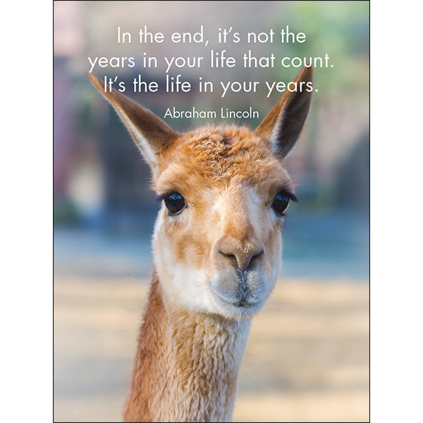 Llama Nirvana - 24 Good-Morning Quotations