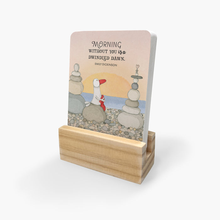 A Little Box Of Love - 24 Twigseeds Affirmation Cards
