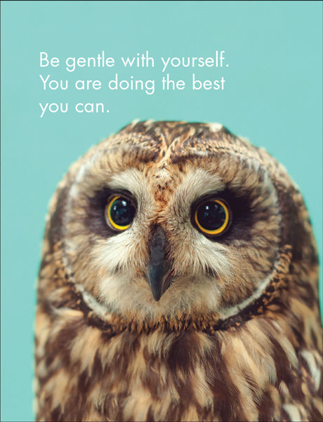 Wise Owls - 24 Animal Affirmation Cards