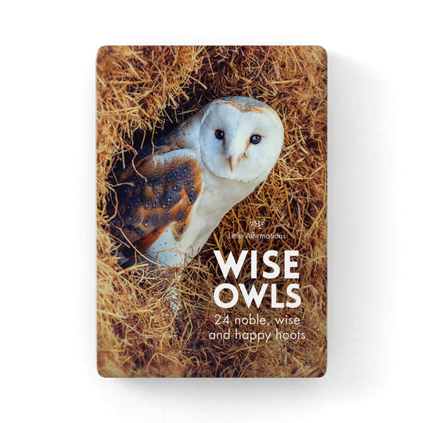 Wise Owls - 24 Animal Affirmation Cards