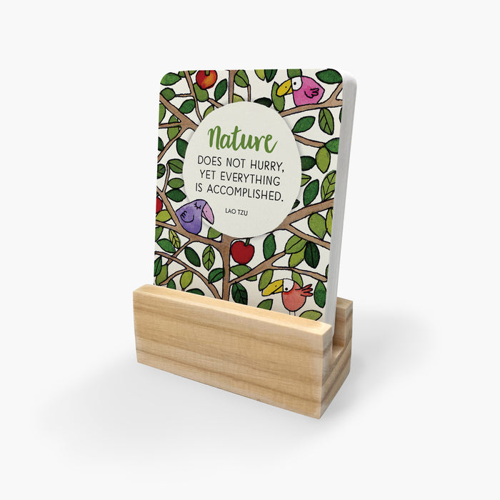 Seeds of Truth - 24 Twigseeds Affirmation Cards