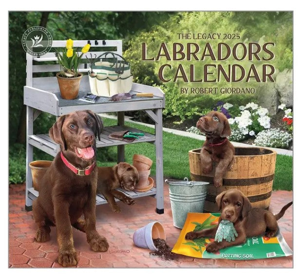 Calendar Legacy 2025 - Labradors