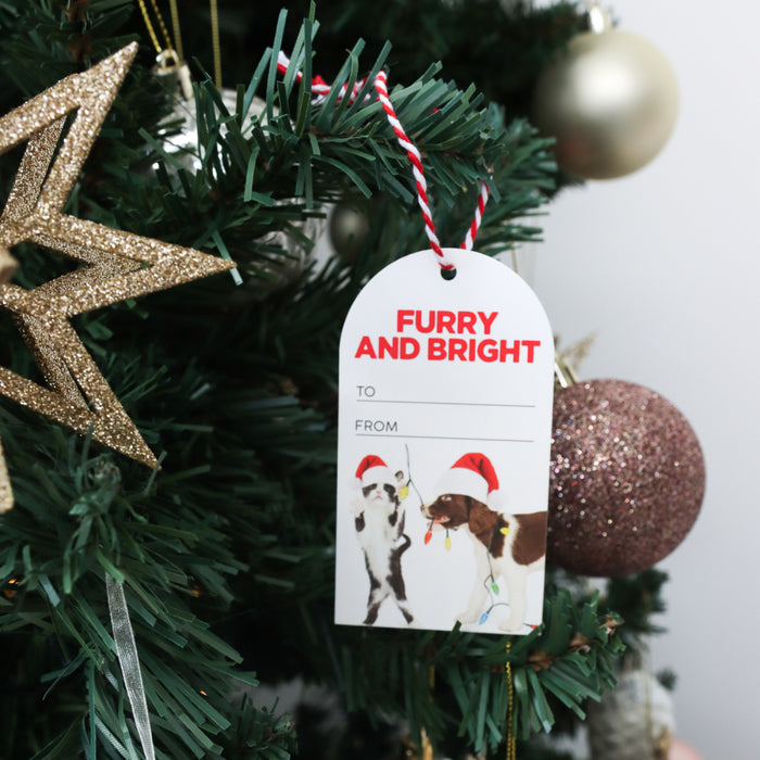 Christmas Gift Tags (6 Pk) - Asst