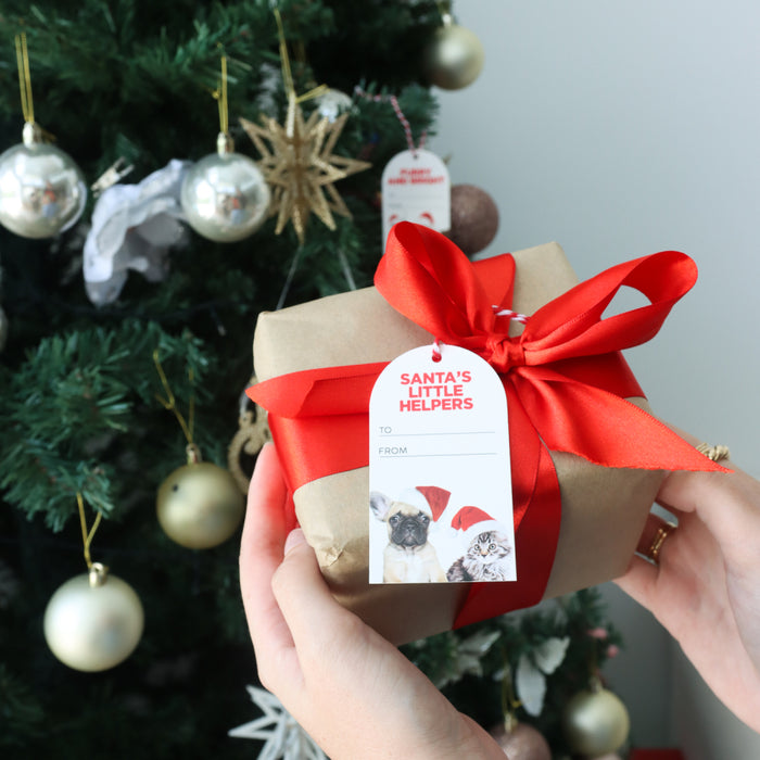 Christmas Gift Tags (6 Pk) - Asst