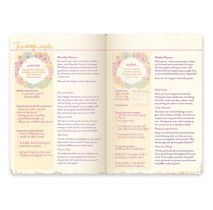 2025 Intrinsic Diary Planners - Asst