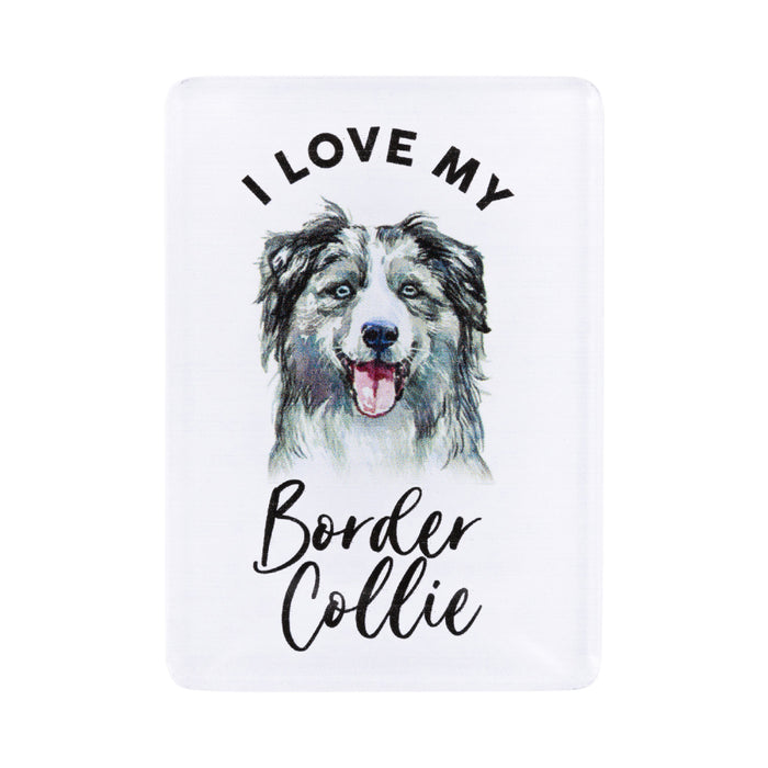 Pet Lovers Magnet - Asst Styles