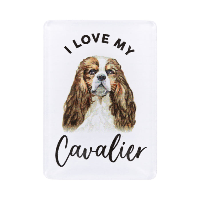 Pet Lovers Magnet - Asst Styles