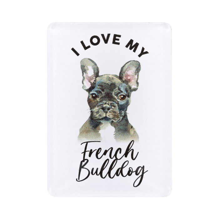 Pet Lovers Magnet - Asst Styles