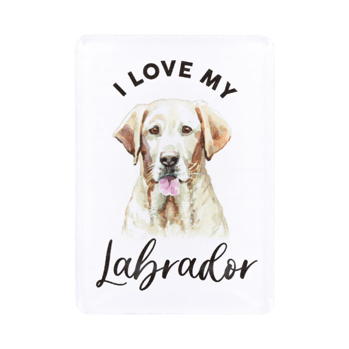 Pet Lovers Magnet - Asst Styles