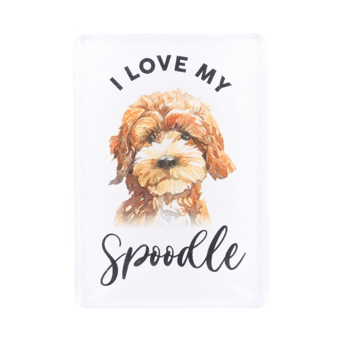 Pet Lovers Magnet - Asst Styles