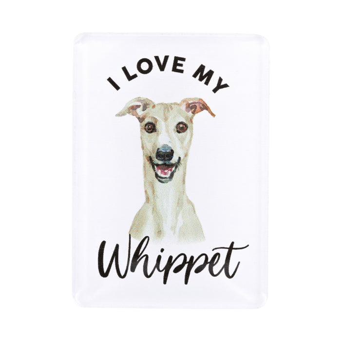 Pet Lovers Magnet - Asst Styles