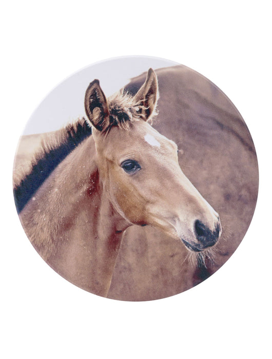 Rustic Meadow Foal Ceramic Coaster