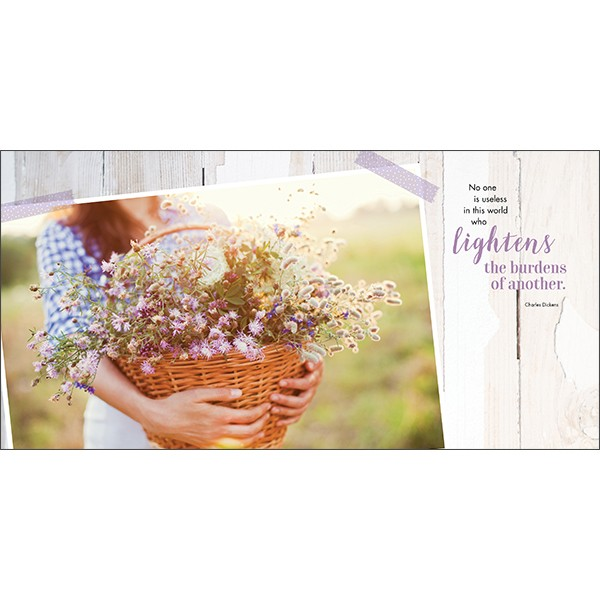 Friendship - affinity, connection, harmony