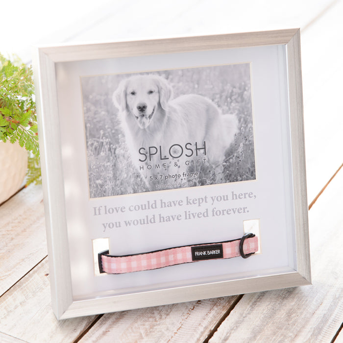 Sympathy Pet Memorial Collar Frame