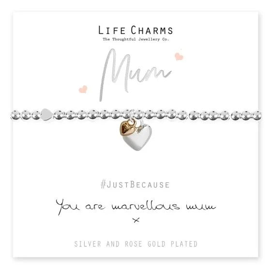 Life Charm Bracelets - Various