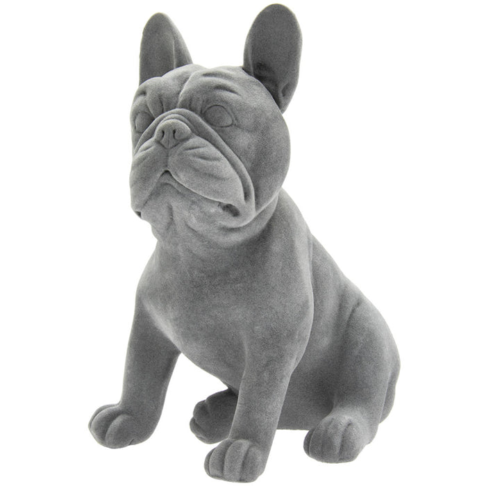 Grey Velvet French Bulldog