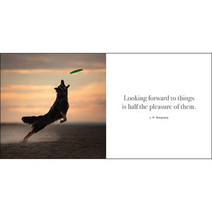 Flying Dogs - A Book Of Motivation