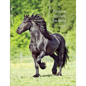 Horse Sense - 24 Affirmations Cards and Stand