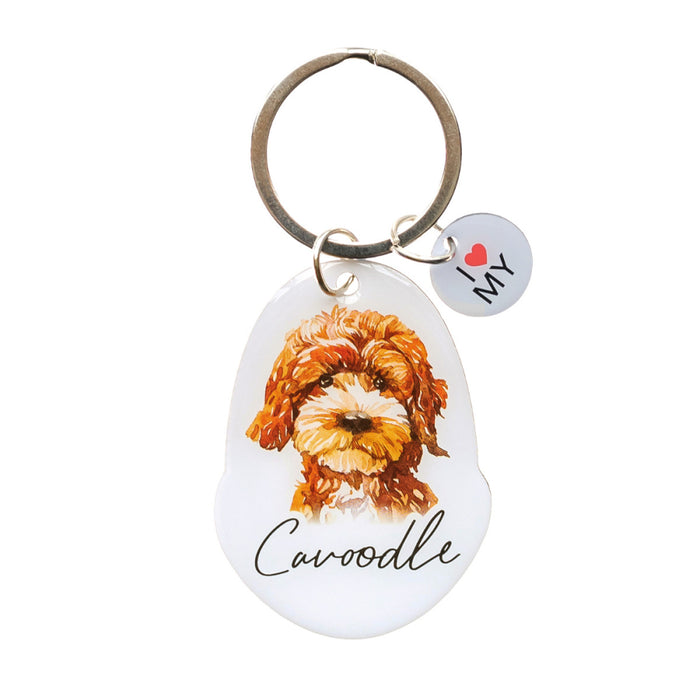 Pet Keyring - Asst Styles